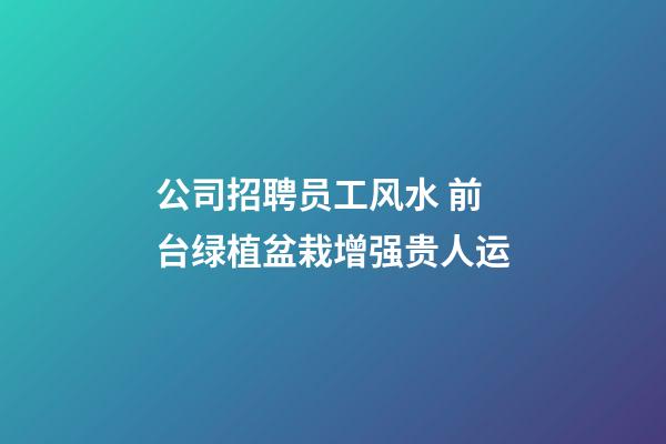 公司招聘员工风水 前台绿植盆栽增强贵人运
